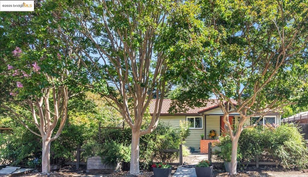 41105909 Property Photo 1