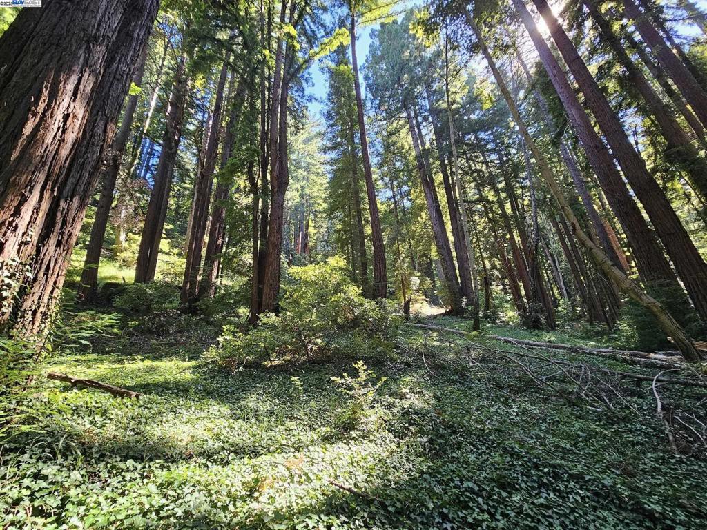 Lot26 Old La Honda Rd Property Photo 1