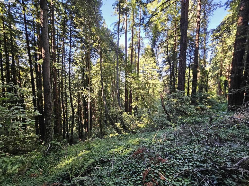 Lot26 Old La Honda Rd Property Photo 2