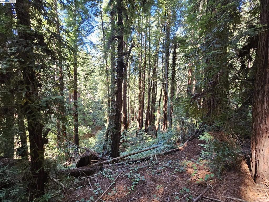 Lot26 Old La Honda Rd Property Photo 3