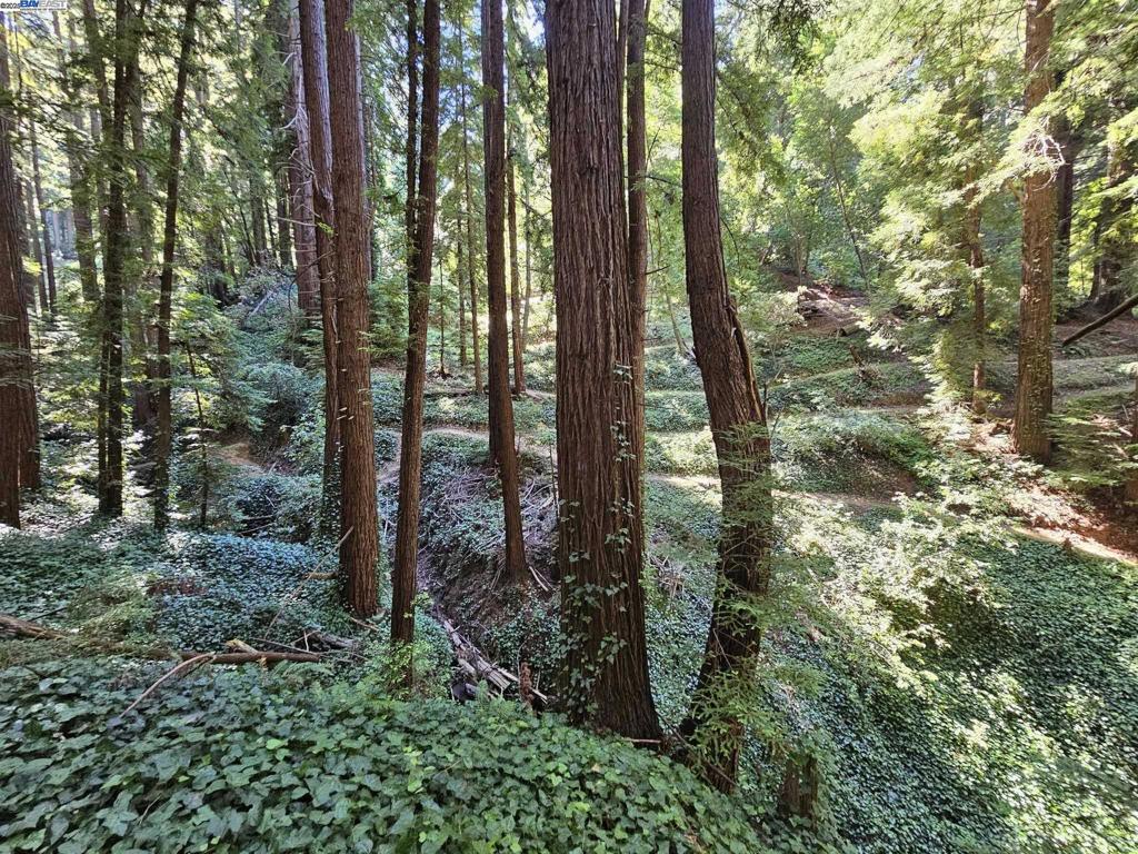Lot26 Old La Honda Rd Property Photo 5