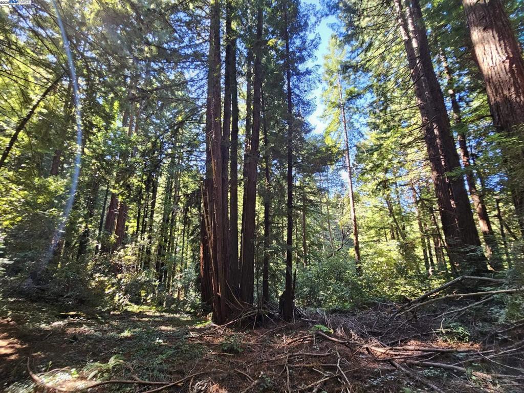 Lot26 Old La Honda Rd Property Photo 6