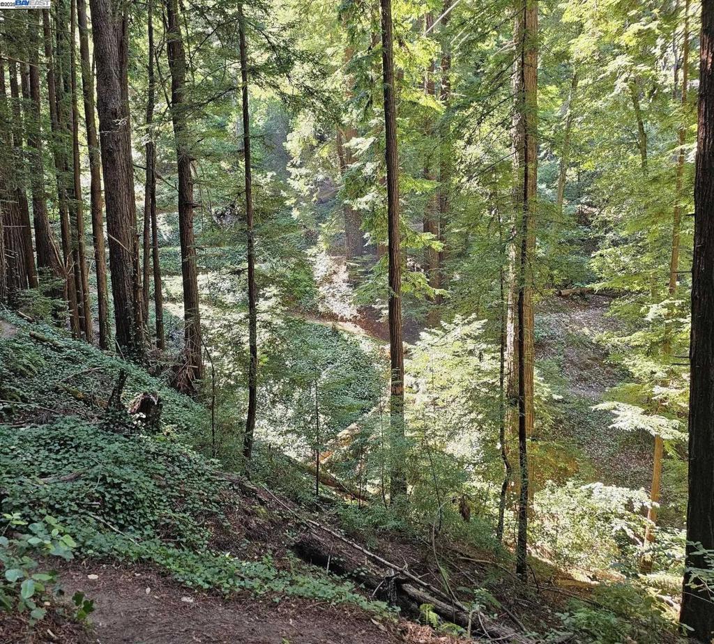 Lot26 Old La Honda Rd Property Photo 7