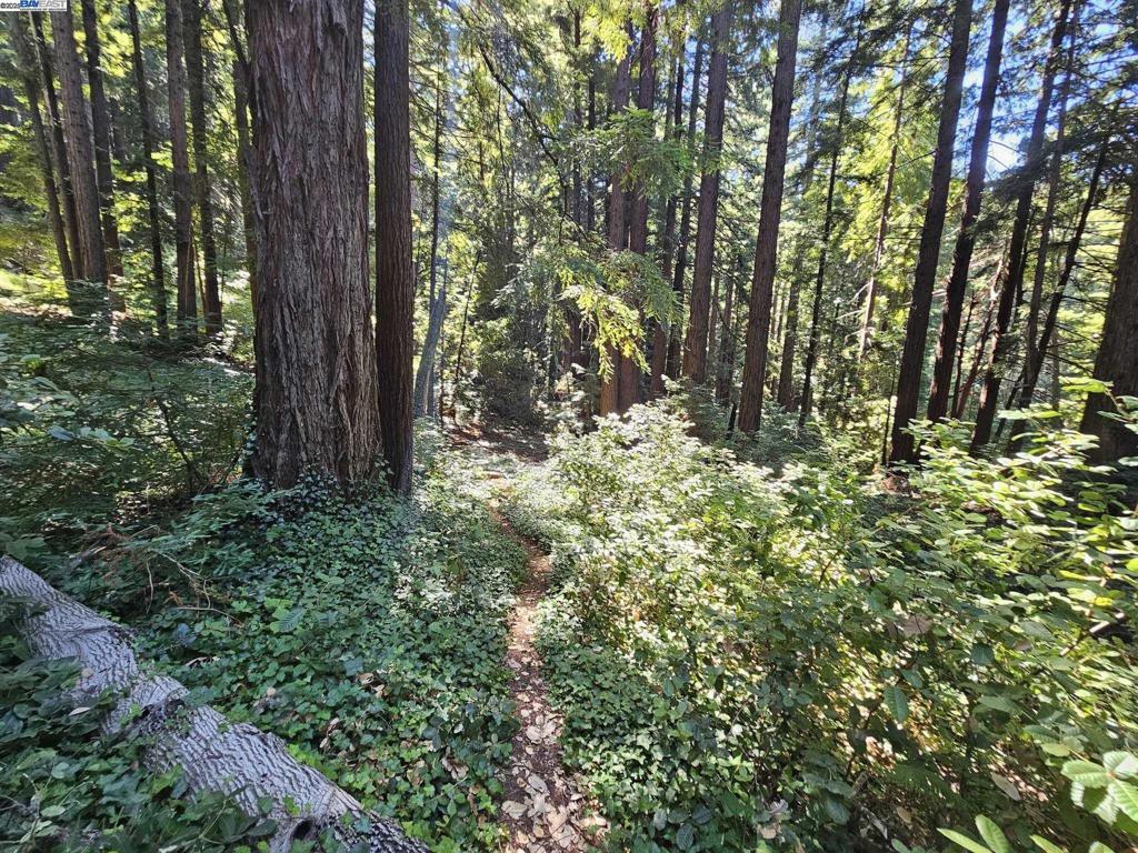 Lot27 Old La Honda Rd Property Photo 1