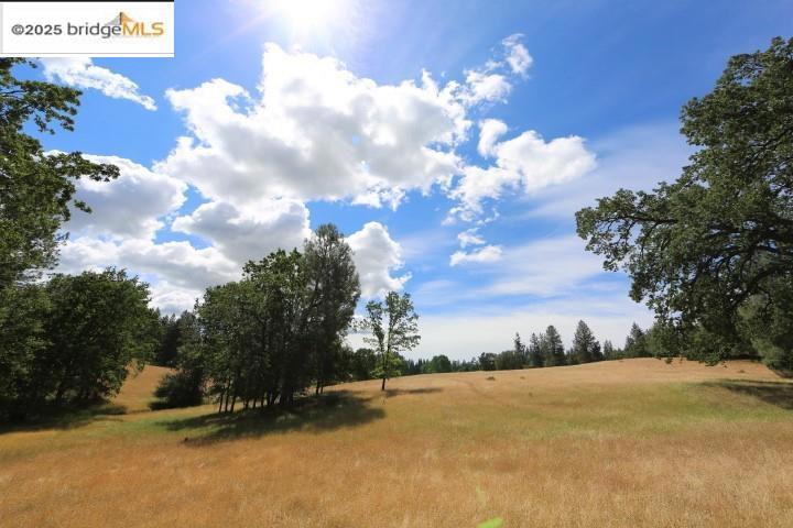 22000 Ferretti Rd. Property Photo 1