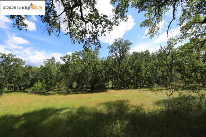 22000 Ferretti Rd. Property Photo 2