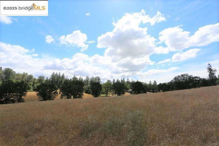 22000 Ferretti Rd. Property Photo 3