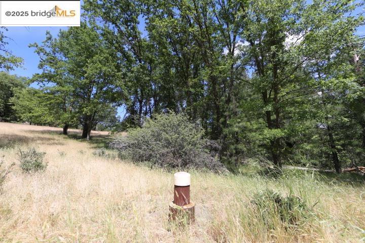 22000 Ferretti Rd. Property Photo 4