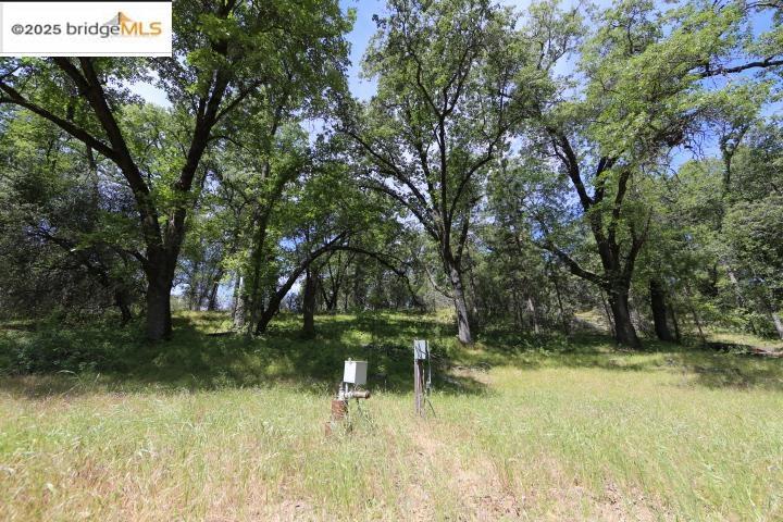 22000 Ferretti Rd. Property Photo 5