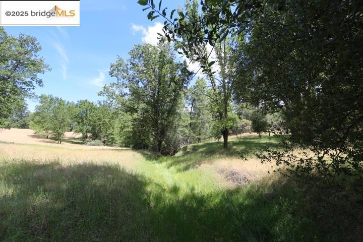 22000 Ferretti Rd. Property Photo 6