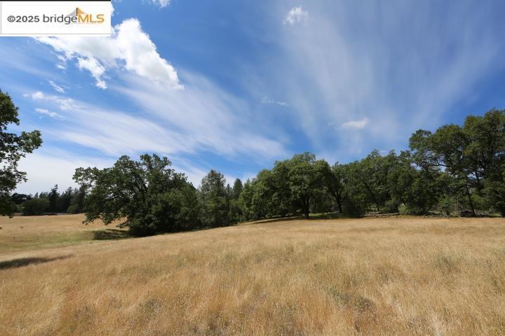 22000 Ferretti Rd. Property Photo 7