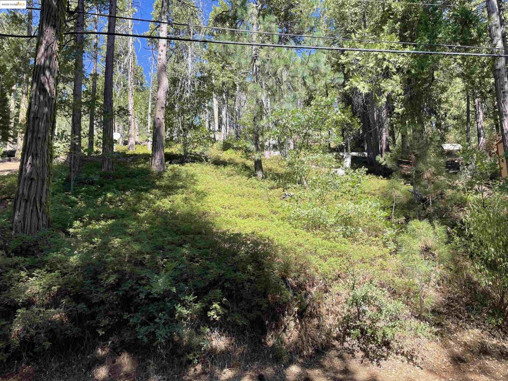 25476 Rebekah Rd Property Photo 1