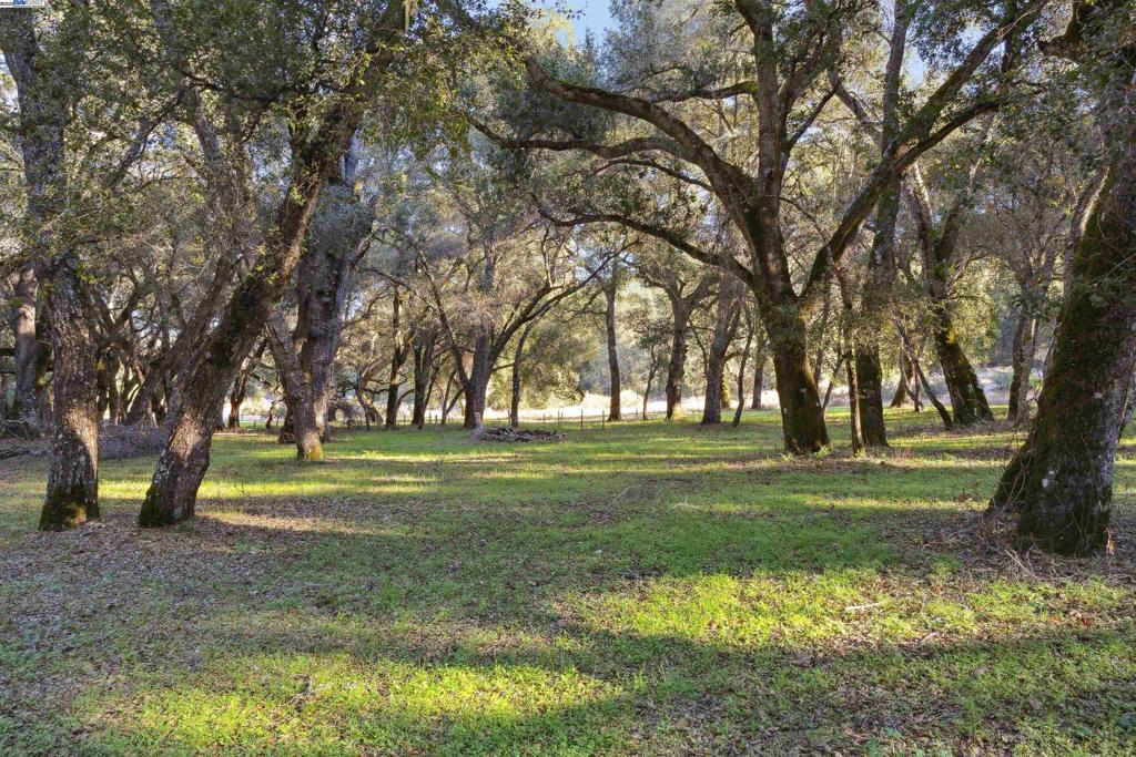 11 Arroyo Sequoia Property Photo 1