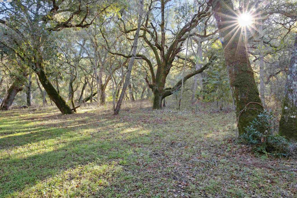 11 Arroyo Sequoia Property Photo 3