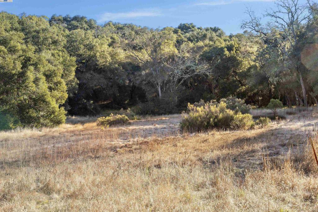 11 Arroyo Sequoia Property Photo 9