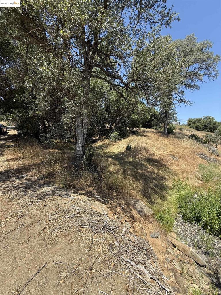 5306 Greeley Hill Road Property Photo 3