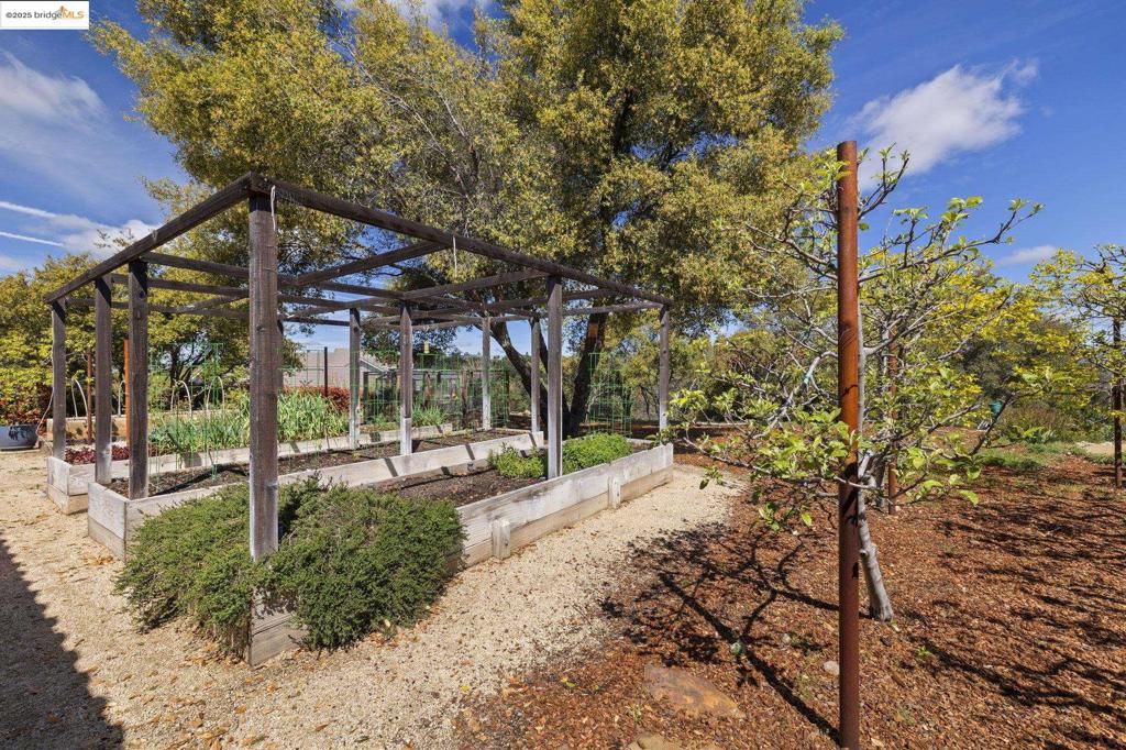 10270 Slate Rim Rd Property Photo 42