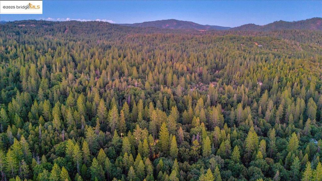 22732 Middle Camp Rd Property Photo 39