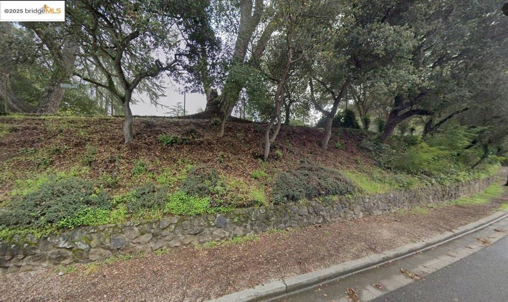0 Bullard Dr Property Photo 4