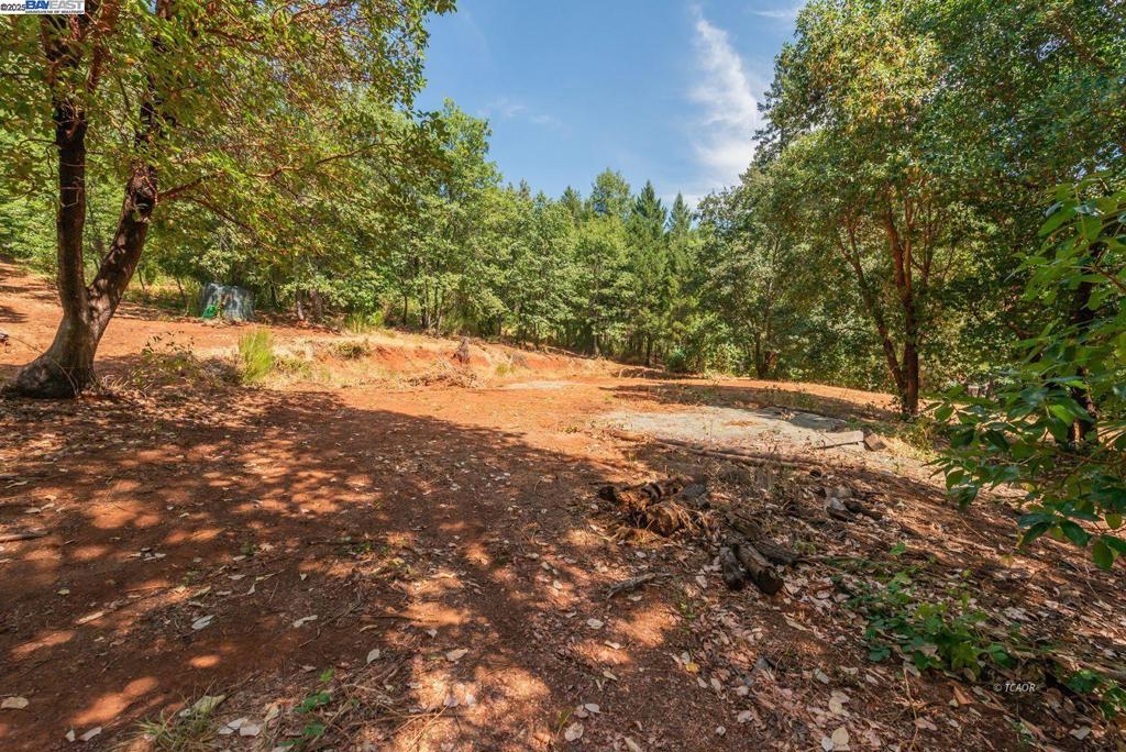 171 Connor Creek Rd Property Photo 1
