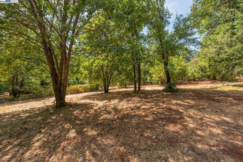 171 Connor Creek Rd Property Photo 2