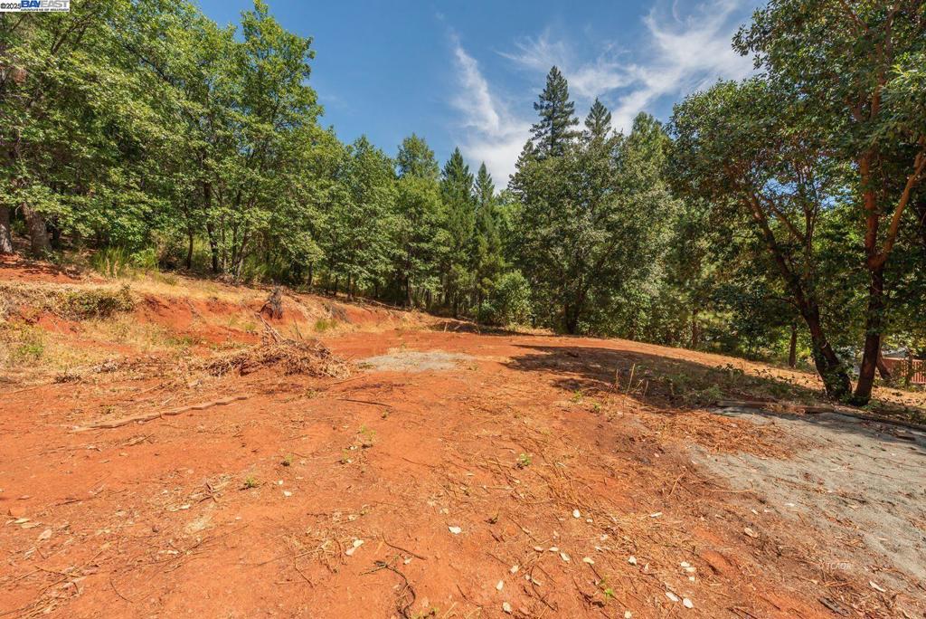 171 Connor Creek Rd Property Photo 3