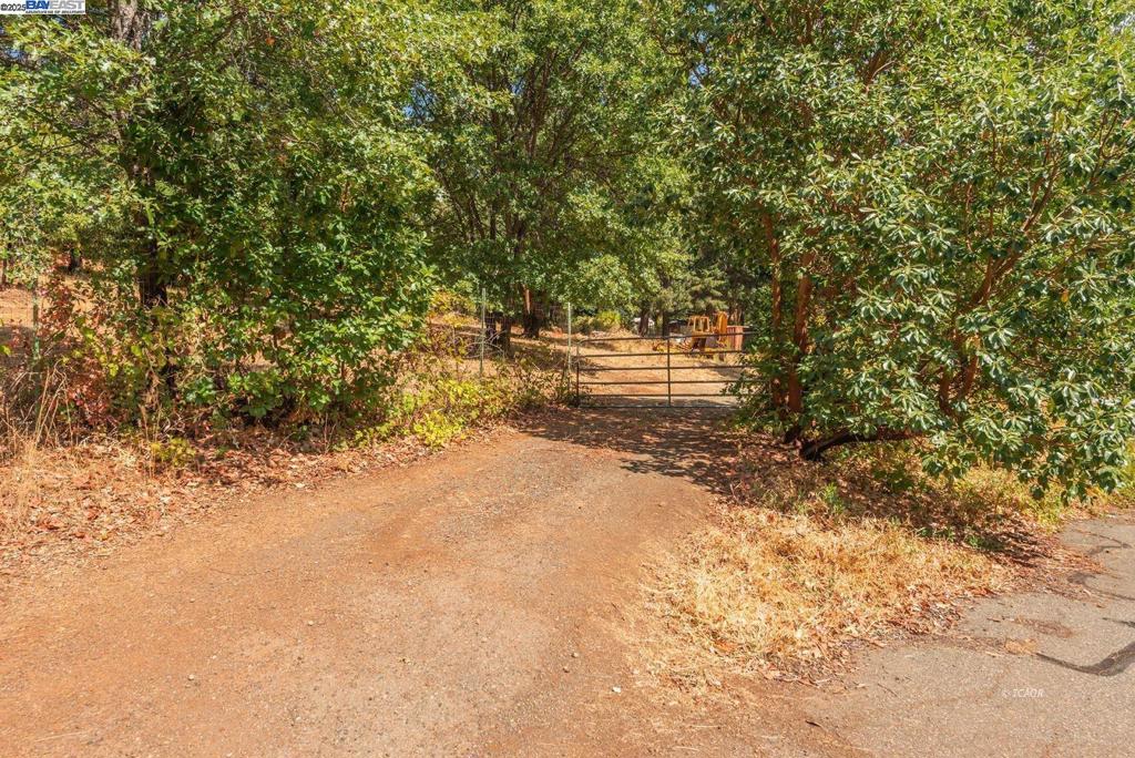171 Connor Creek Rd Property Photo 4