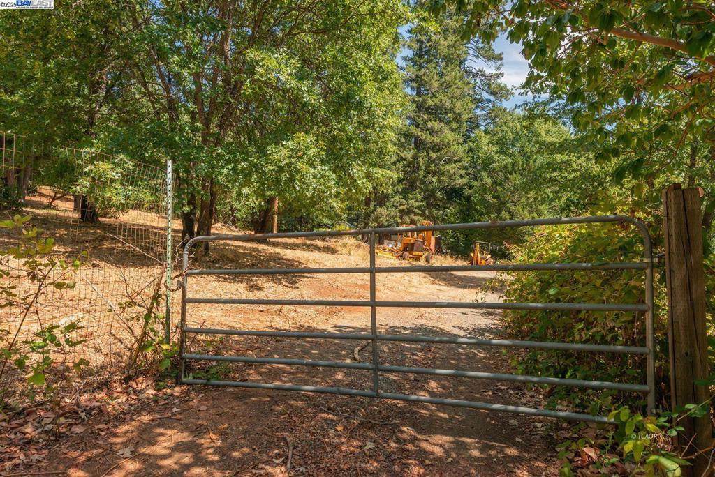 171 Connor Creek Rd Property Photo 5