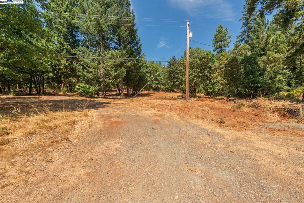 171 Connor Creek Rd Property Photo 6