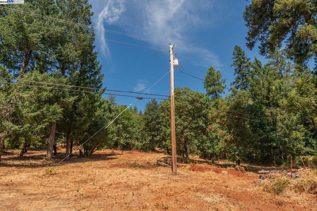 171 Connor Creek Rd Property Photo 7