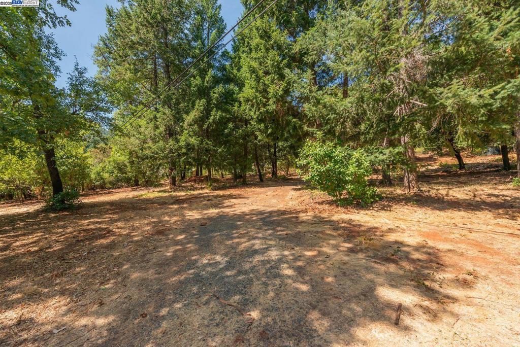 171 Connor Creek Rd Property Photo 8