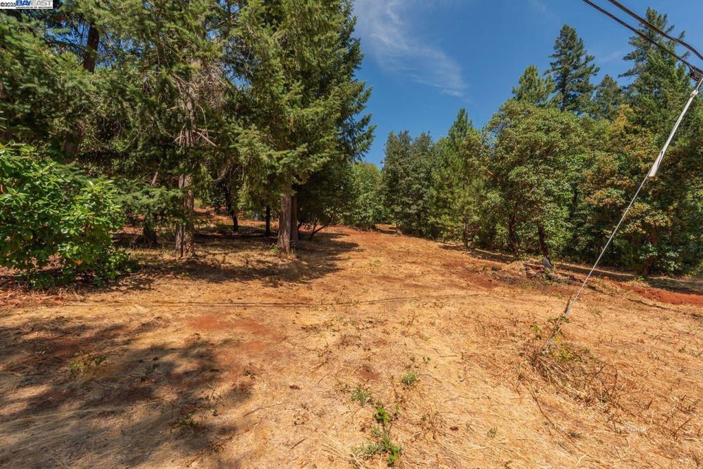 171 Connor Creek Rd Property Photo 9