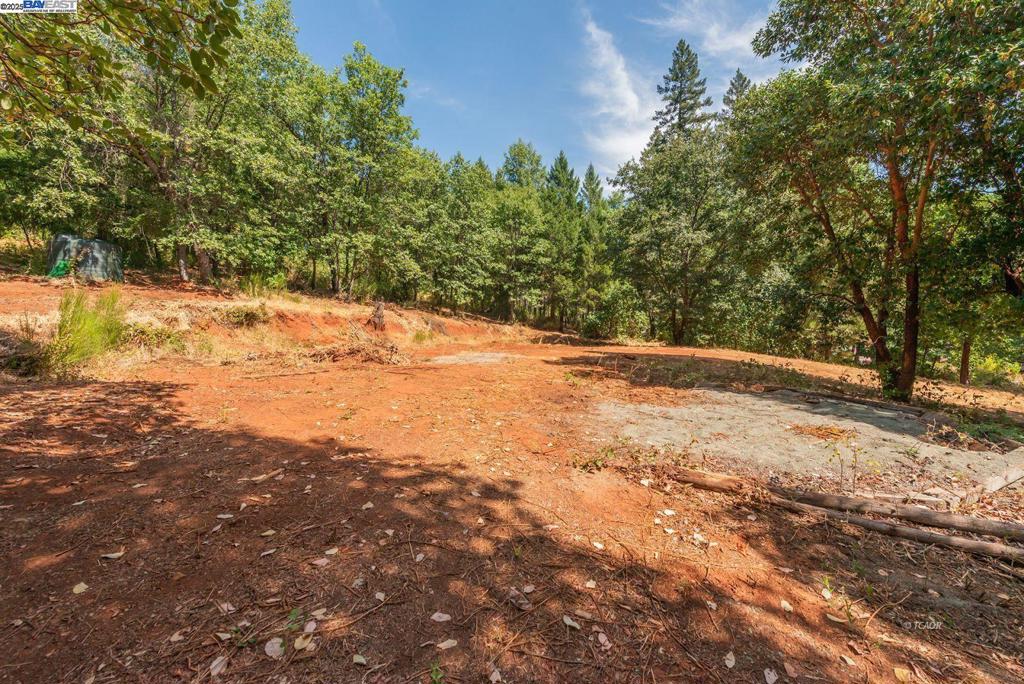 171 Connor Creek Rd Property Photo 12