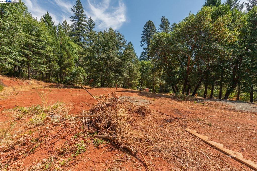 171 Connor Creek Rd Property Photo 13