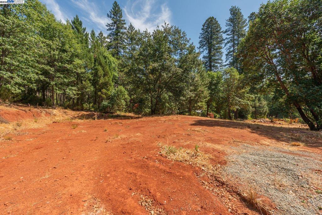 171 Connor Creek Rd Property Photo 15
