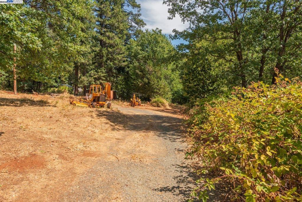 171 Connor Creek Rd Property Photo 16