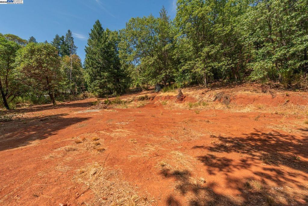 171 Connor Creek Rd Property Photo 17