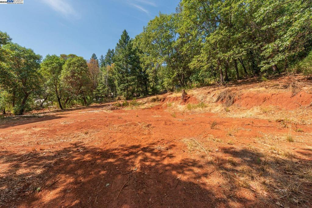 171 Connor Creek Rd Property Photo 18