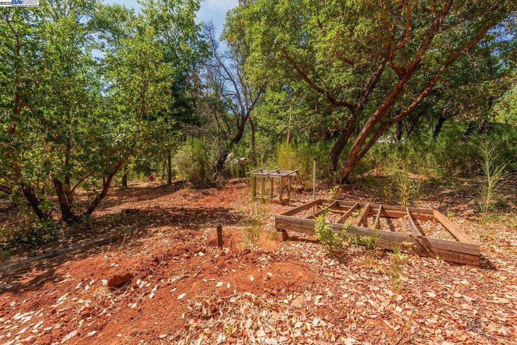 171 Connor Creek Rd Property Photo 22