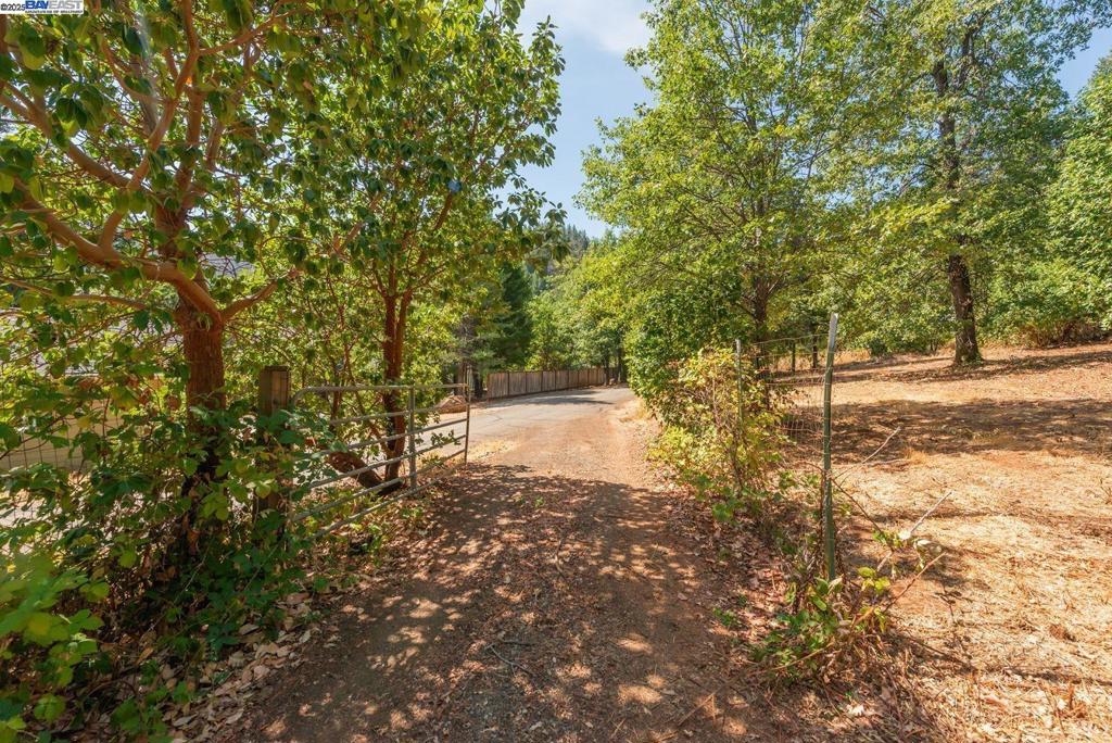 171 Connor Creek Rd Property Photo 24