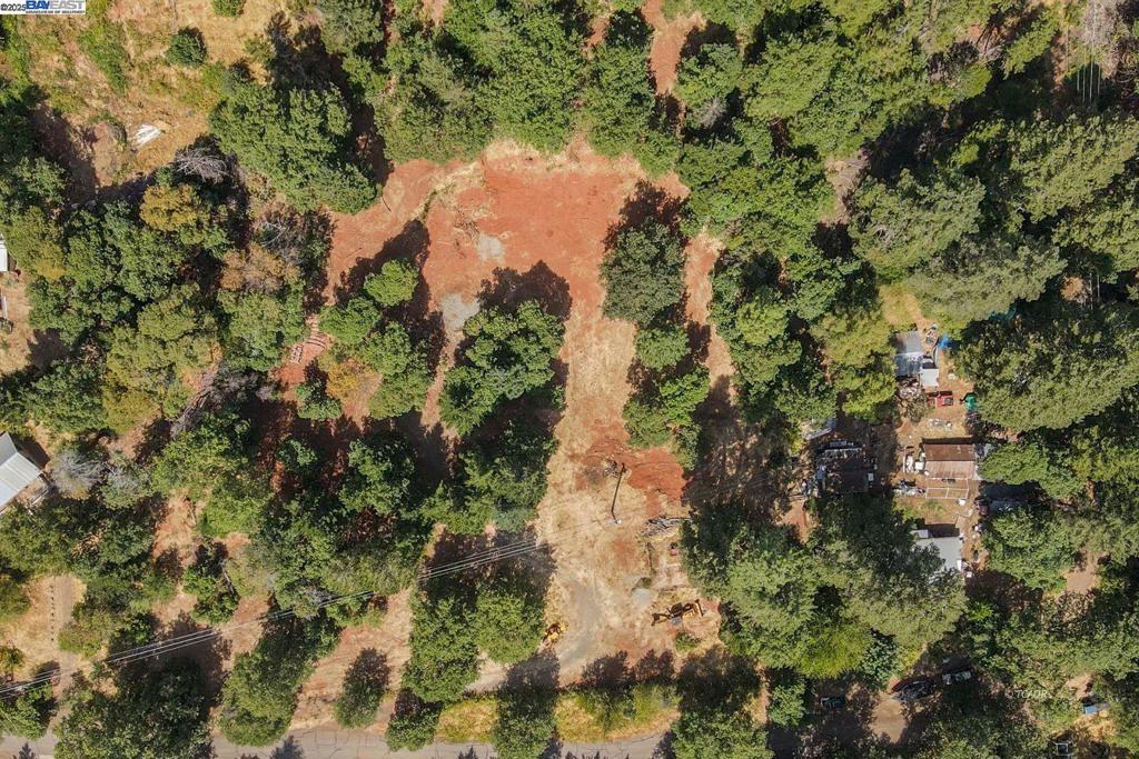 171 Connor Creek Rd Property Photo 25