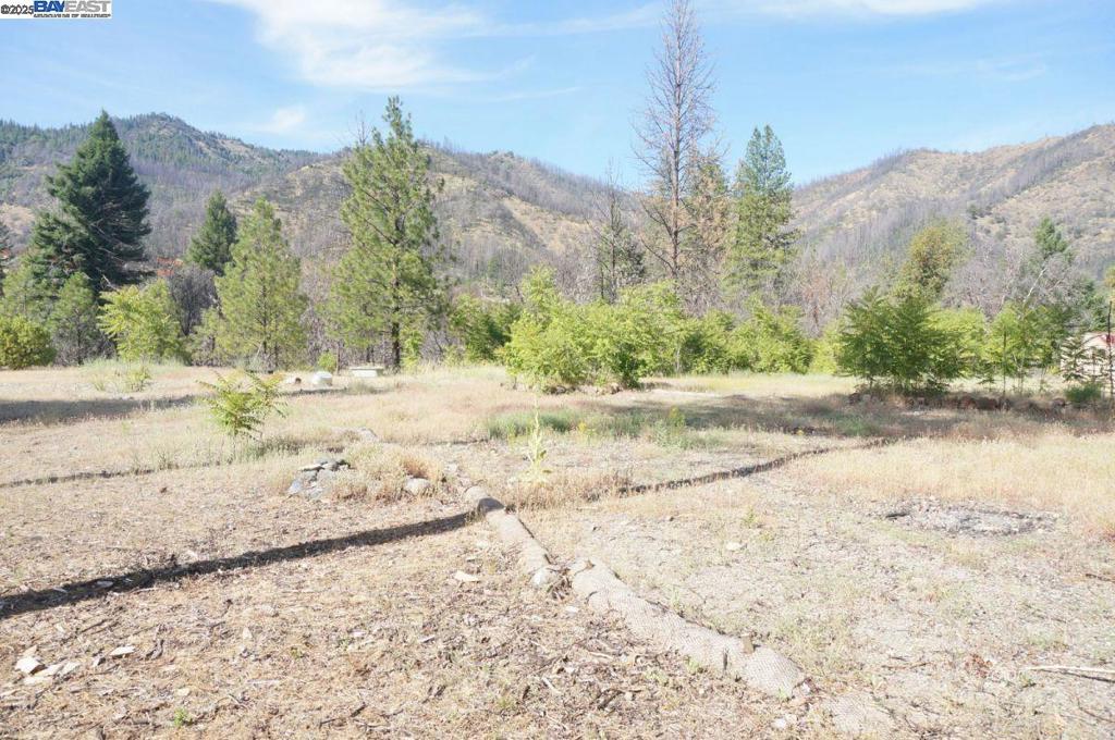 101 River Acres Property Photo 1
