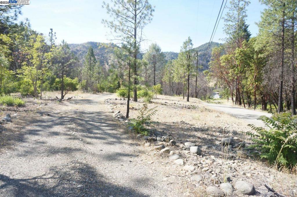 101 River Acres Property Photo 18
