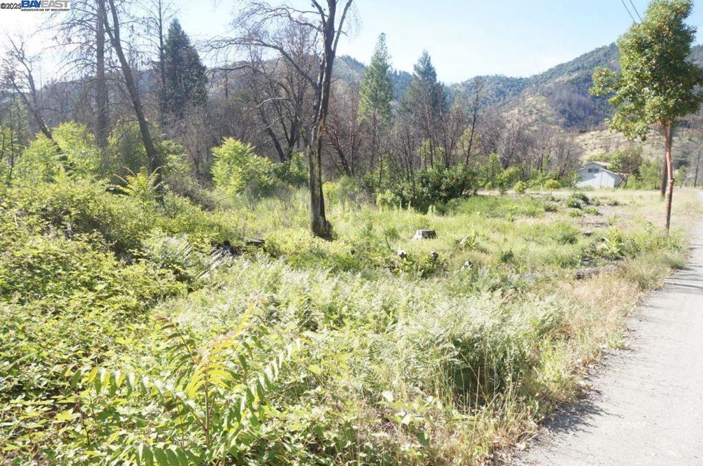 101 River Acres Property Photo 19