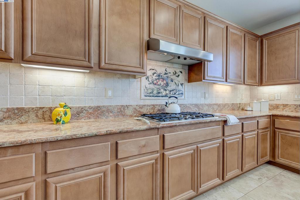 2528 Amantea Way Property Photo 24