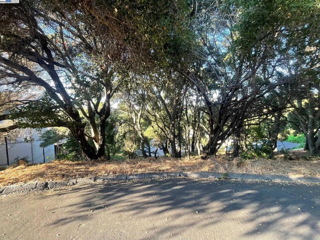 25265 Morse Ct Property Photo 3