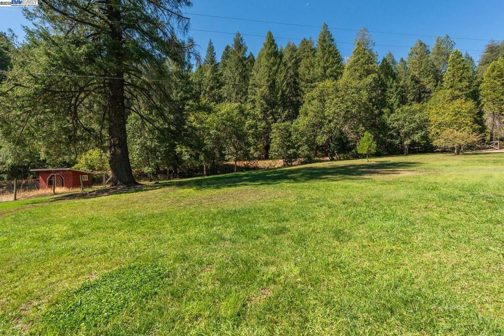4481 Rush Creek Rd Property Photo 36