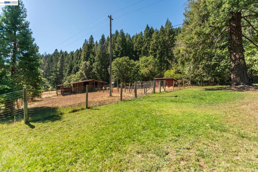 4481 Rush Creek Rd Property Photo 64