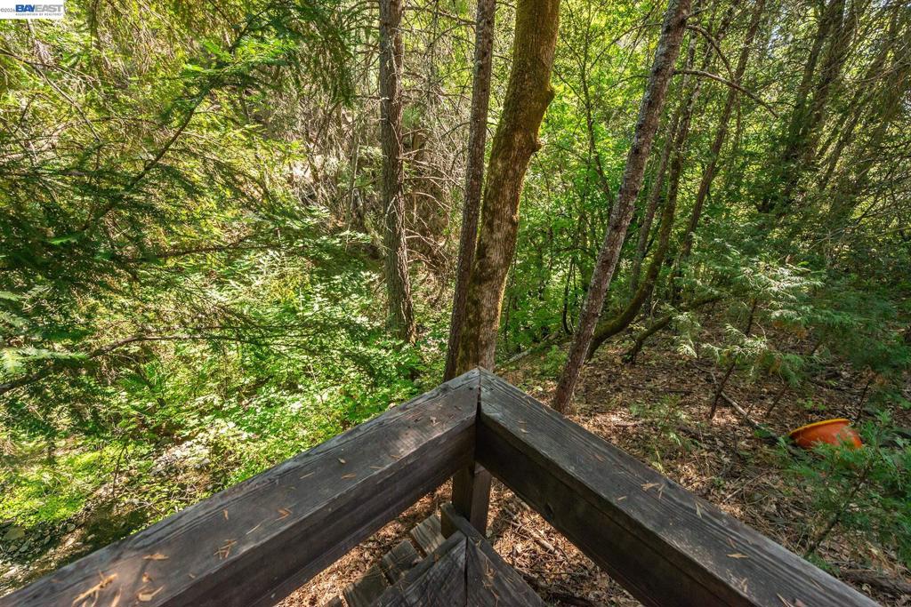 4481 Rush Creek Rd Property Photo 67