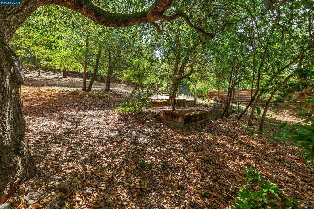 184 Glorietta Blvd Property Photo 11